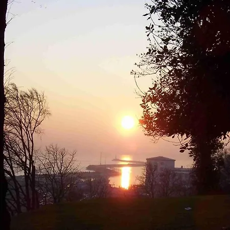 Sonnenschein